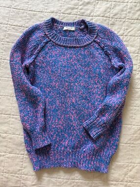 Madewell Blue and Pink Marled Crewneck Sweater